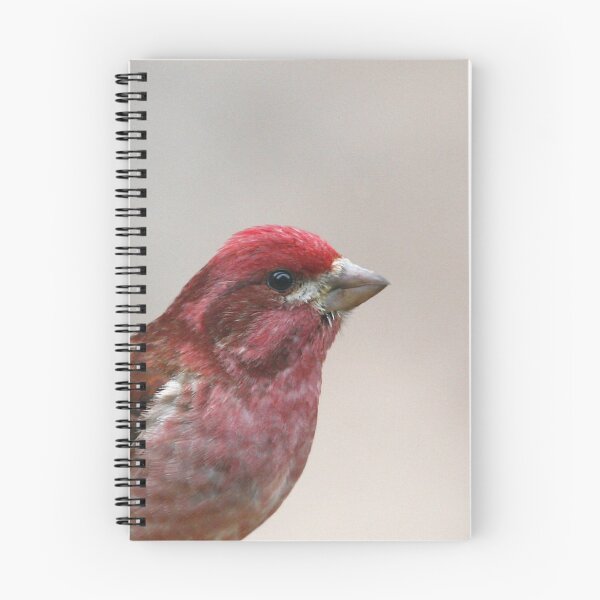 Item preview, Purple Finch  designed and sold by Enola Gay Wagner.