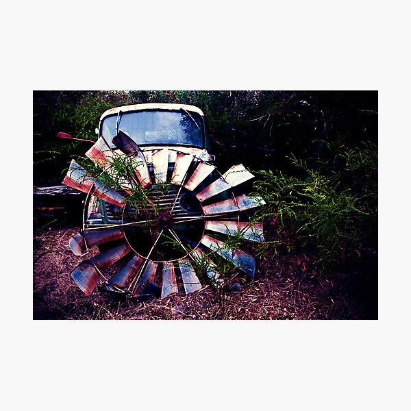 Item preview, Resting Place - Eyre Peninsula designed and sold by shotimagery.