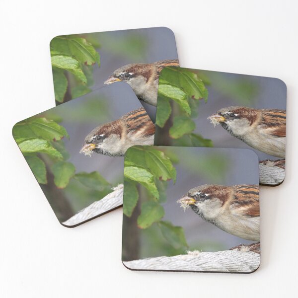 Item preview, Sparrow closeup designed and sold by GreyFeatherPhot.