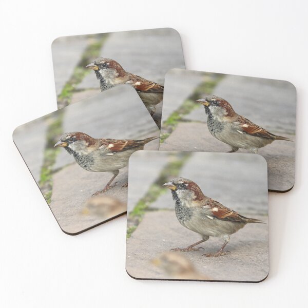 Item preview, Cafe sparrows designed and sold by GreyFeatherPhot.