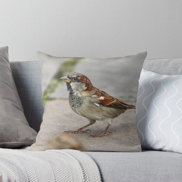 Item preview, Cafe sparrows designed and sold by GreyFeatherPhot.