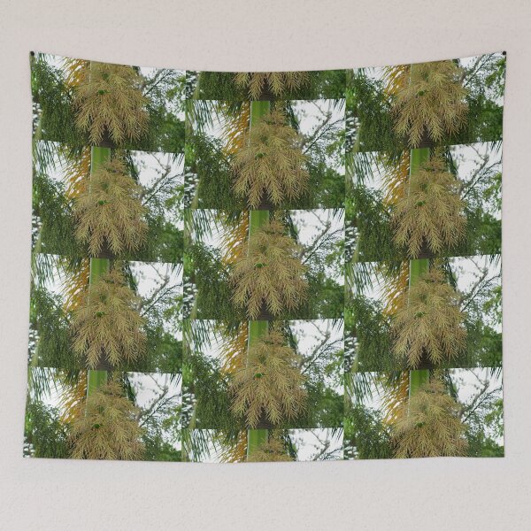 Item preview, Wild Rainbow Lorikeets Feeding Frenzy ~ Innisfail, FNQ, AU. designed and sold by Kerryn Madsen-Pietsch.