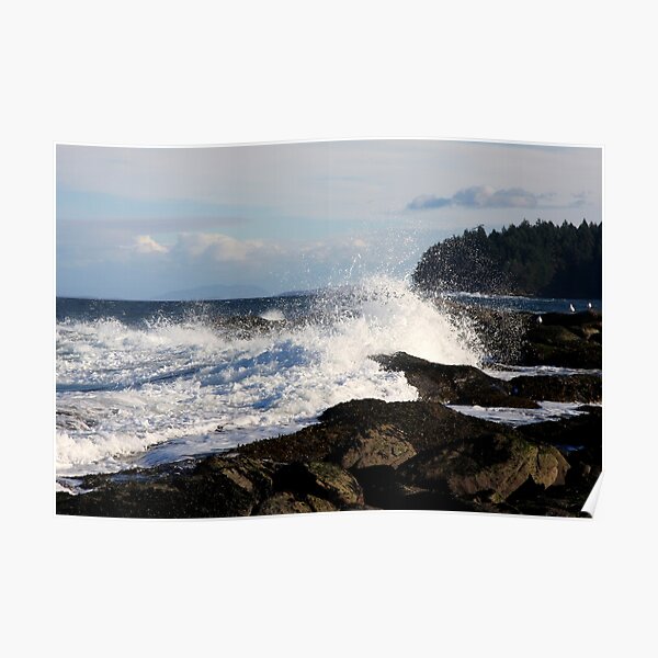Big Wave Poster