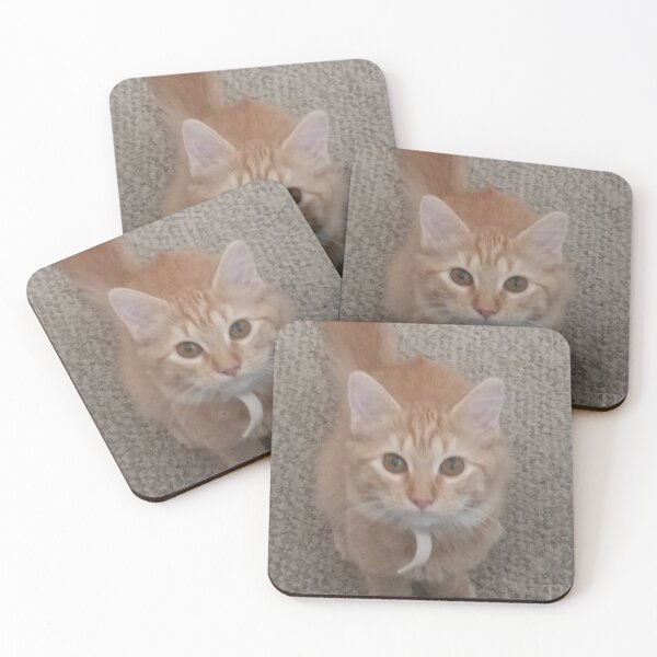 Item preview, Hungry kitty eyes designed and sold by Spicylady00.