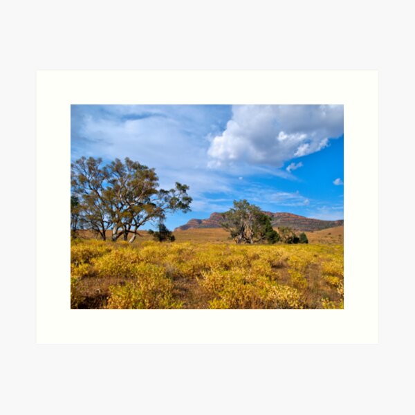 Item preview, Flinders Ranges, Wilpena Pound, SA. designed and sold by johnrf.