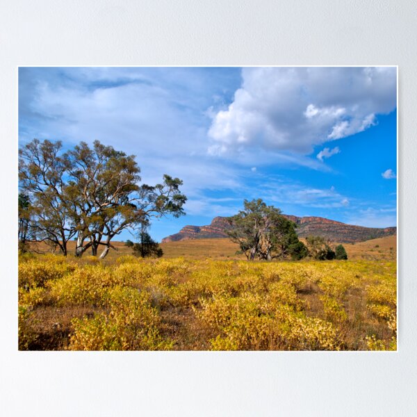 Item preview, Flinders Ranges, Wilpena Pound, SA. designed and sold by johnrf.