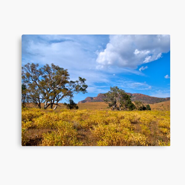 Item preview, Flinders Ranges, Wilpena Pound, SA. designed and sold by johnrf.