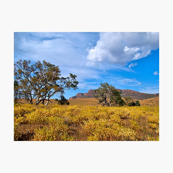 Item preview, Flinders Ranges, Wilpena Pound, SA. designed and sold by johnrf.