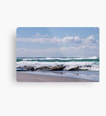 Gulls resting Metal Print