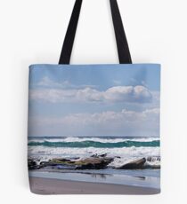 Gulls resting Tote Bag