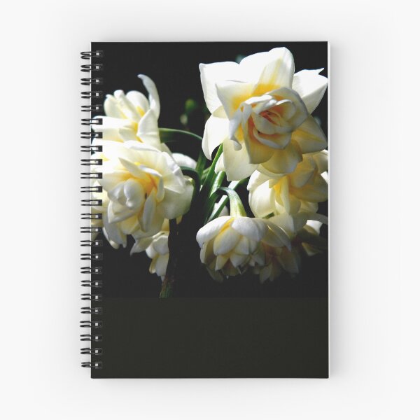 Item preview, Jonquils designed and sold by Narelle Richardson.