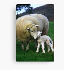 Hi Mum. Canvas Print