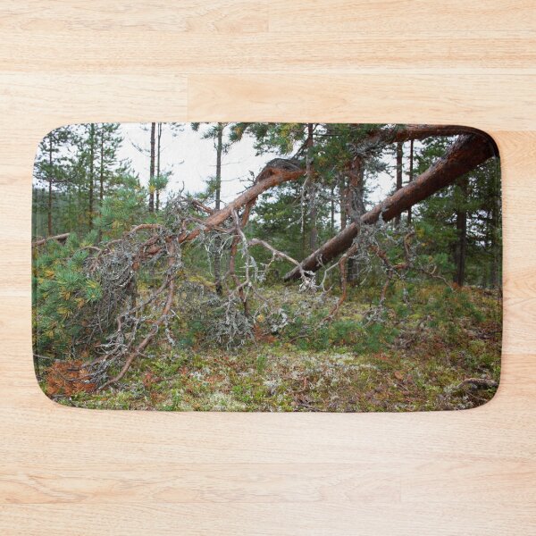 Item preview, Getting Closer To Lapland designed and sold by Niina  Niskanen.