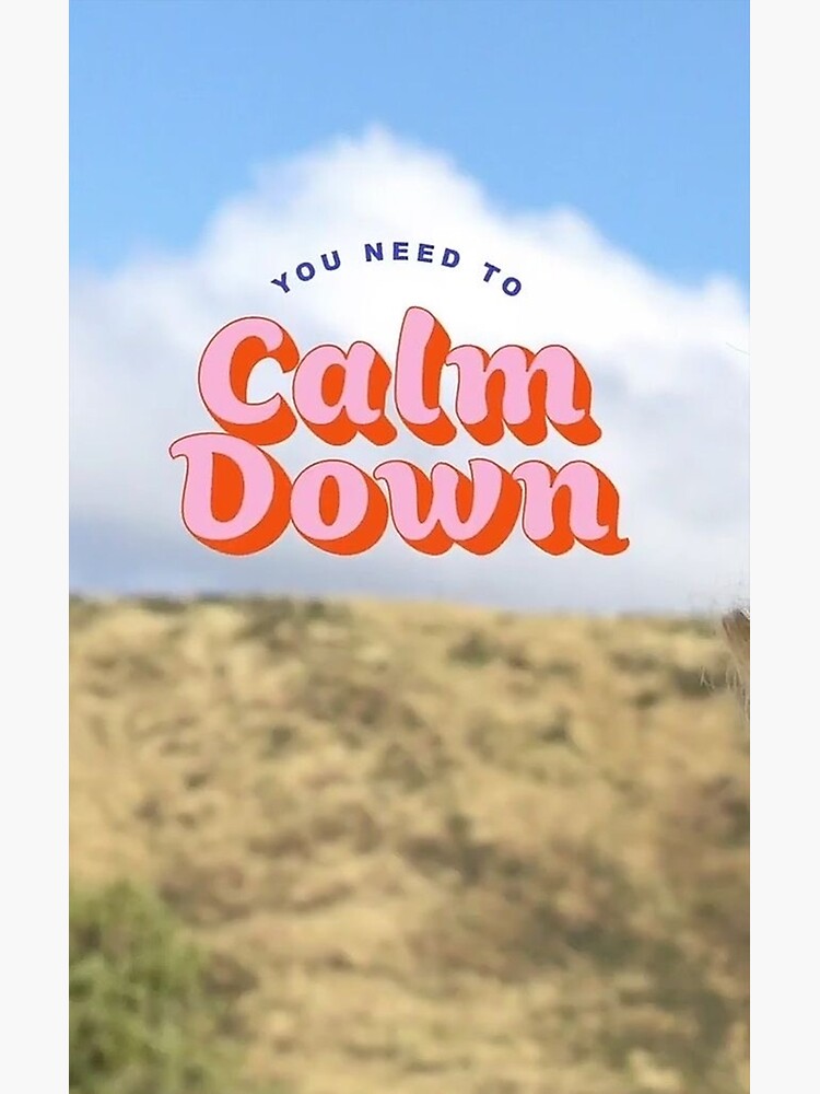 "Taylor swift you need to calm down" Poster for Sale by Noahperezm