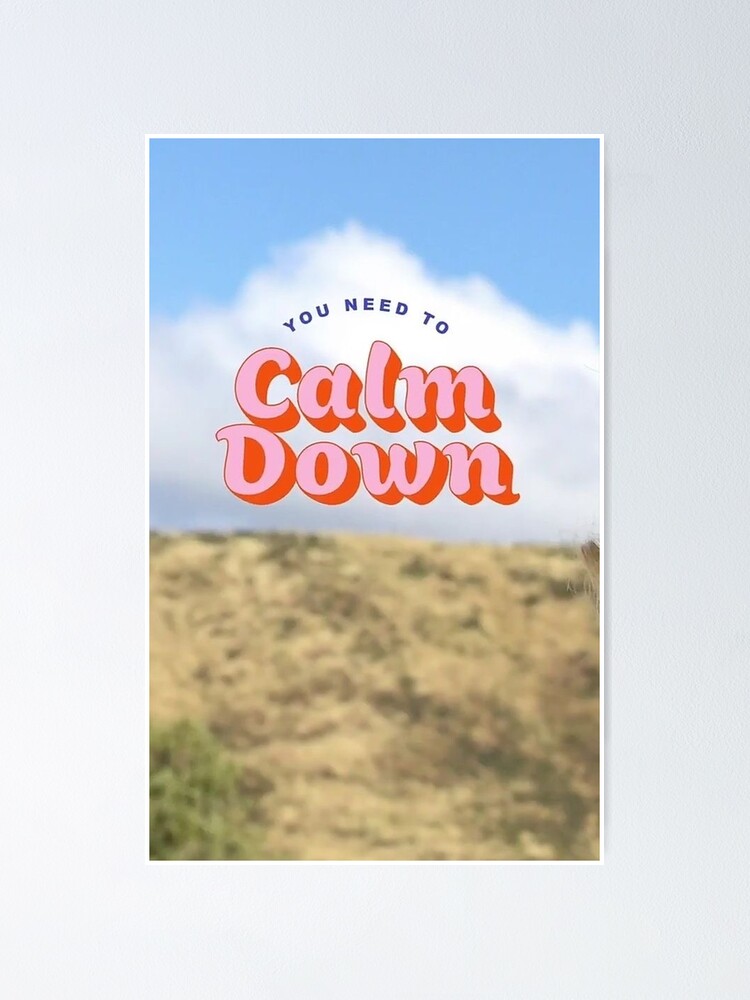 "Taylor swift you need to calm down" Poster for Sale by Noahperezm