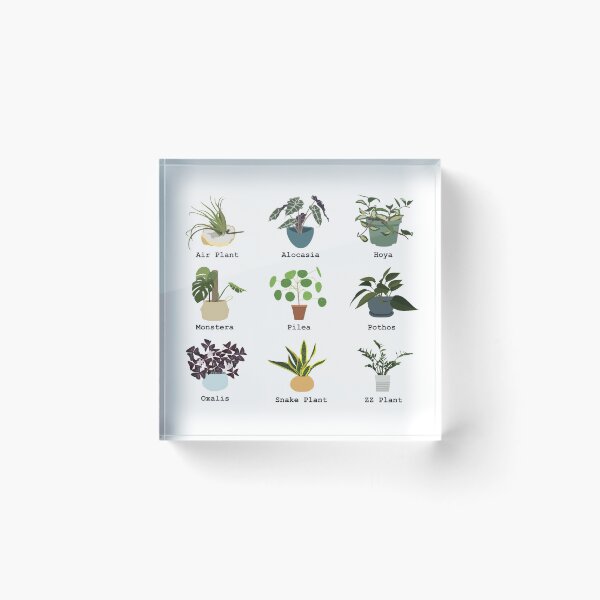 Item preview, Houseplants designed and sold by DokkenDesigns.