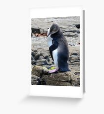 Yellow Eyed Penguin Greeting Card