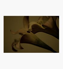 Confession Photographic Print