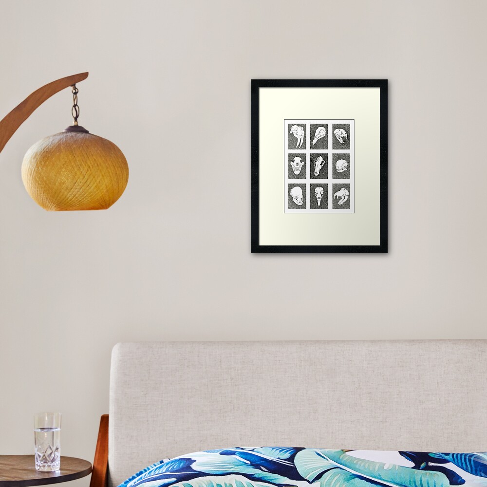 Animal Skulls | Ink Drawing Framed Art Print