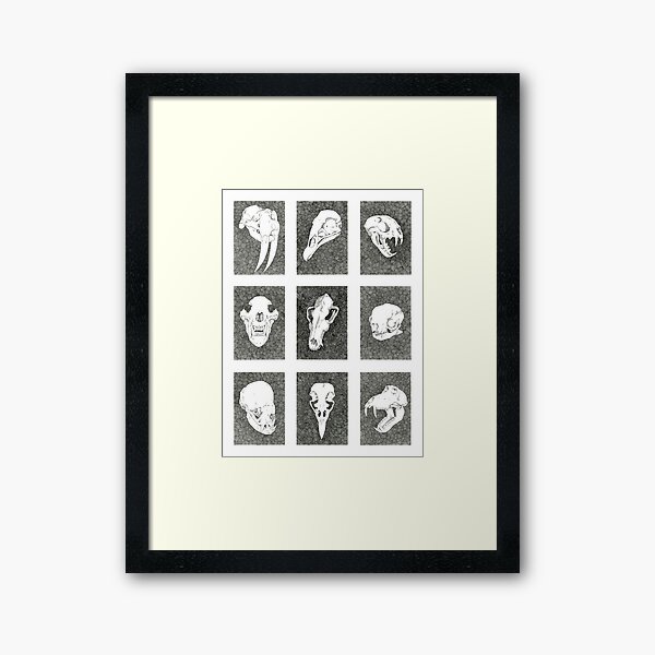 Animal Skulls | Ink Drawing Framed Art Print