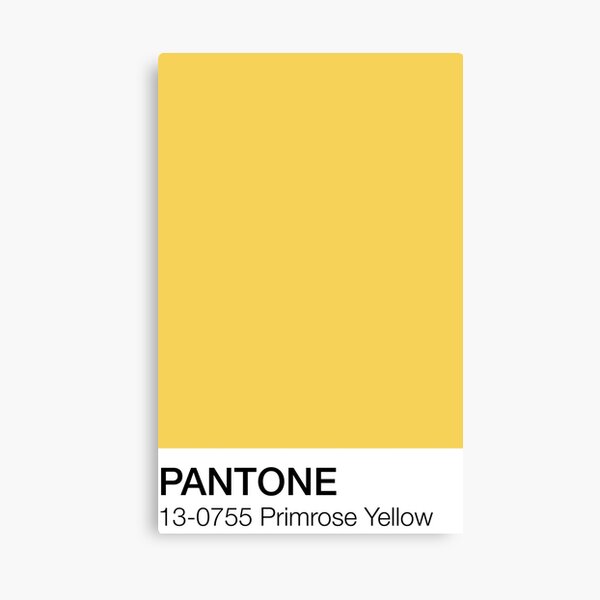 Pantone Primrose Yellow Canvas Print
