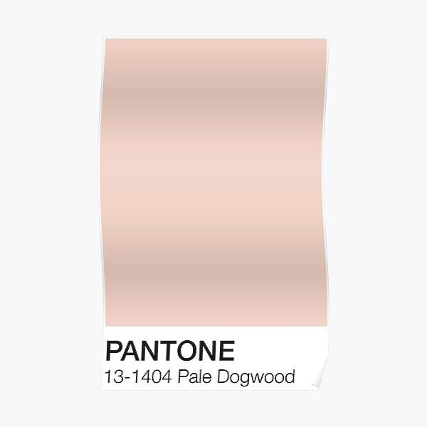 Pantone Pale Dogwood Poster