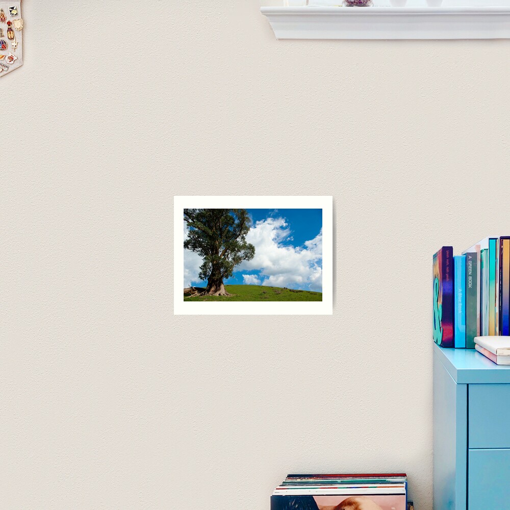 Turtons Creek Art Print