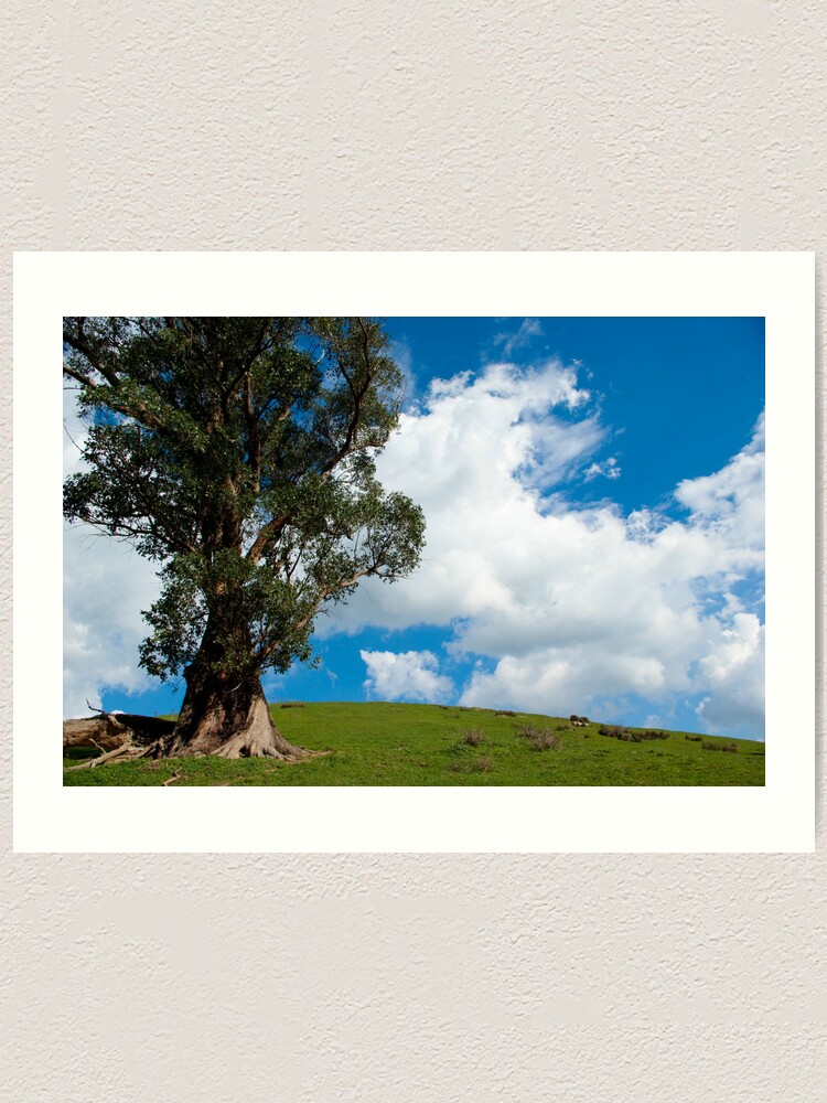 Alternate view of Turtons Creek Art Print