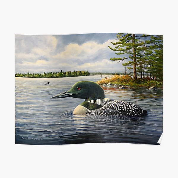 "Loon On The Roseway" Poster