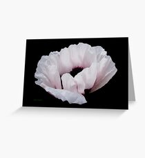 Poppy on Ebony Greeting Card