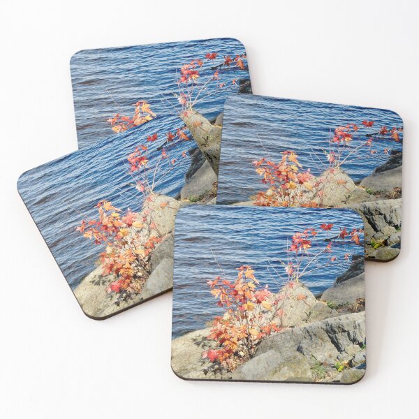 Item preview, Bank of the Ottawa River, Ottawa, ON designed and sold by Shulie1.