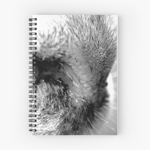 Item preview, Filthy designed and sold by Elisabeth Lulov.