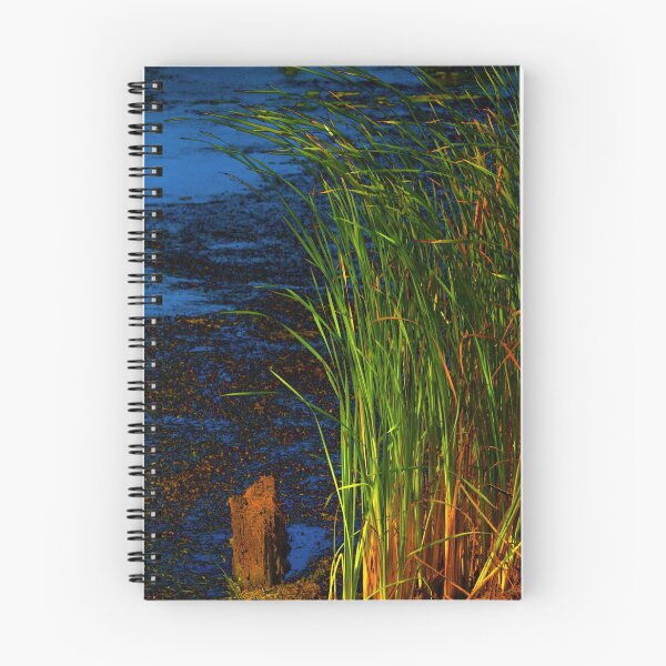 Item preview, Reeds & Rushes designed and sold by photoclique.