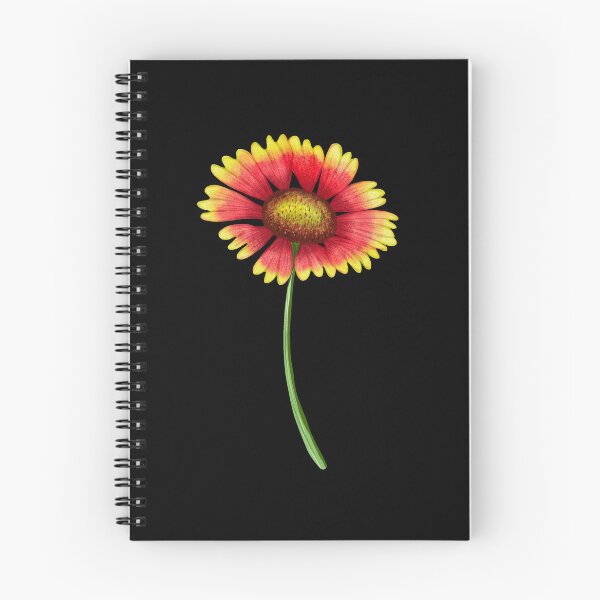 Item preview, Firewheel. Indian Blanket. Texas Wildflower. designed and sold by Zendays.