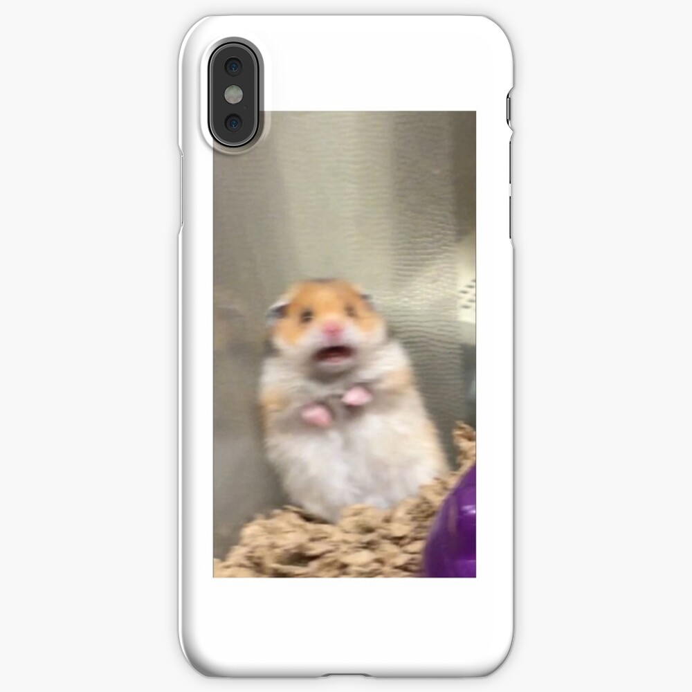 "Shocked Hamster Meme" iPhone Case & Cover by Meggielouu Redbubble