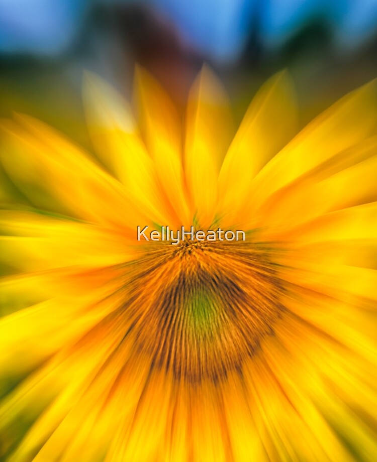 Funda y vinilo para iPad «Girasol Zoom» de KellyHeaton | Redbubble
