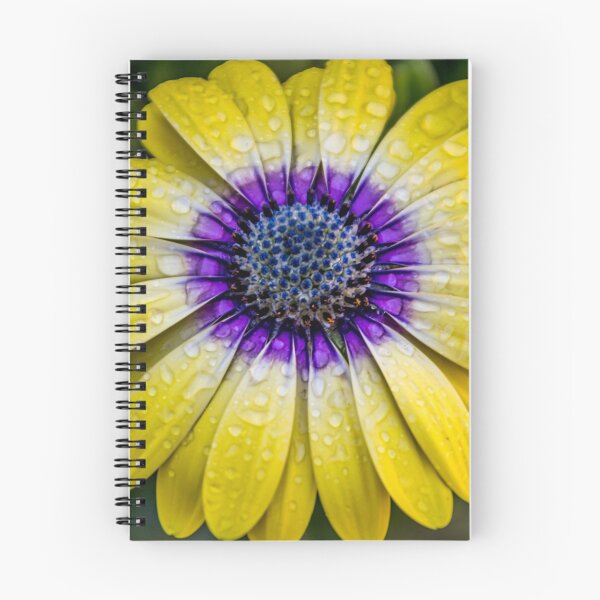 Item preview, Photograph of a Blue Eyed Beauty (yellow) flower designed and sold by jill72.