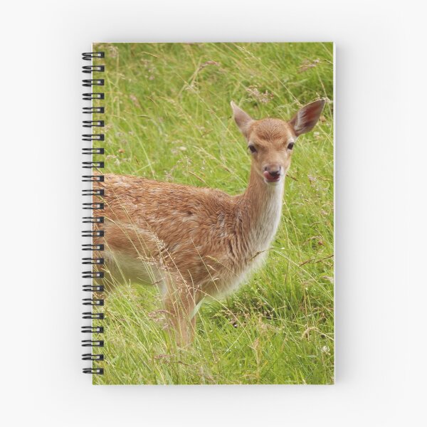 Item preview, Fallow Deer designed and sold by wallcat.