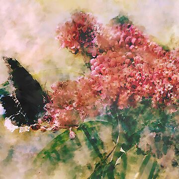 Artwork thumbnail, The Mourning Butterfly by Megan-Nicole