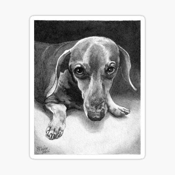 ASTRO/ smooth dachshund Sticker