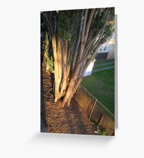 908 Greeting Card