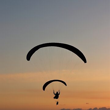 Artwork thumbnail, Sunset paragliding by TalBright