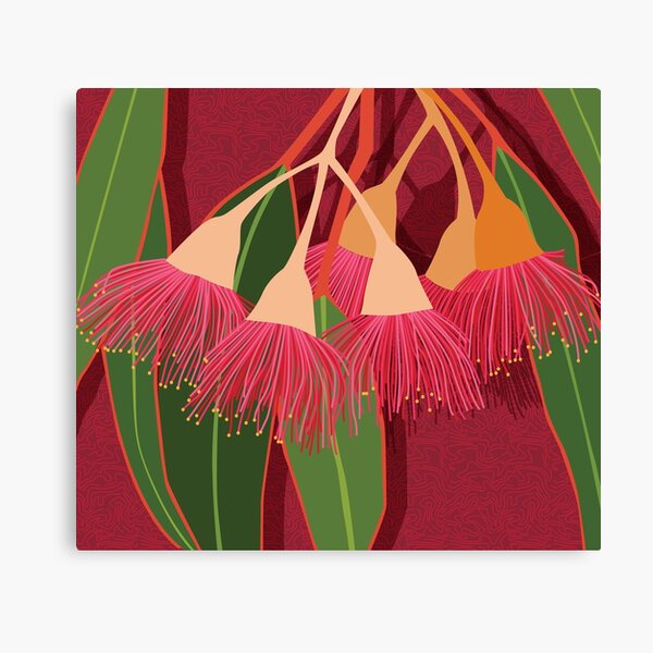 Pink Flowering Gum Leaves Australia Canvas Print