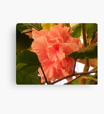 Floral time, Garden House - Antofagasta Canvas Print