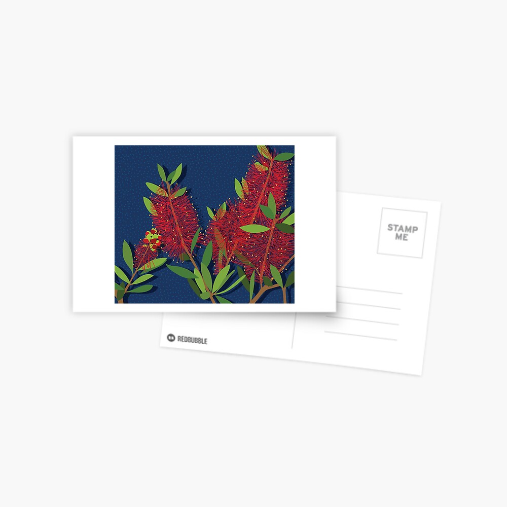 Red Bottlebrush Flowers Postcard