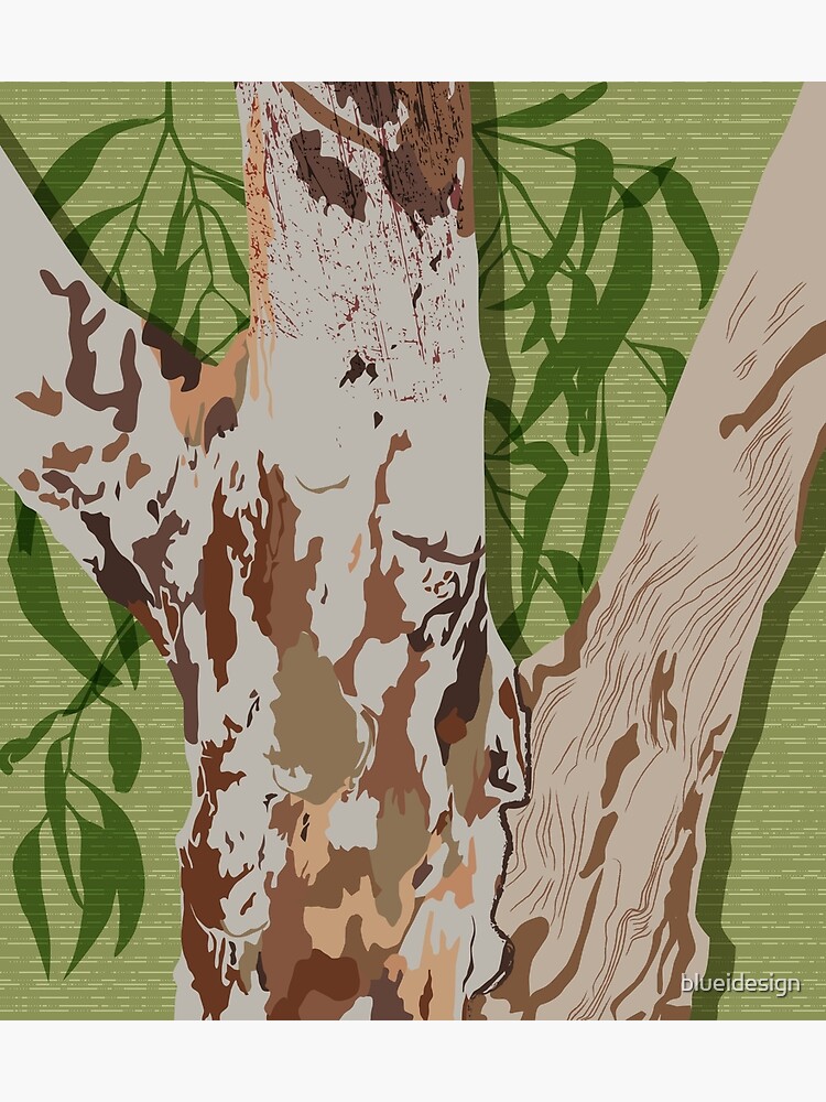 River Red Gum Tree by blueidesign