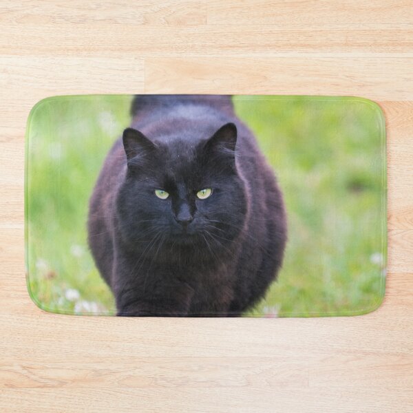 Item preview, Black Cat designed and sold by Lrenz.