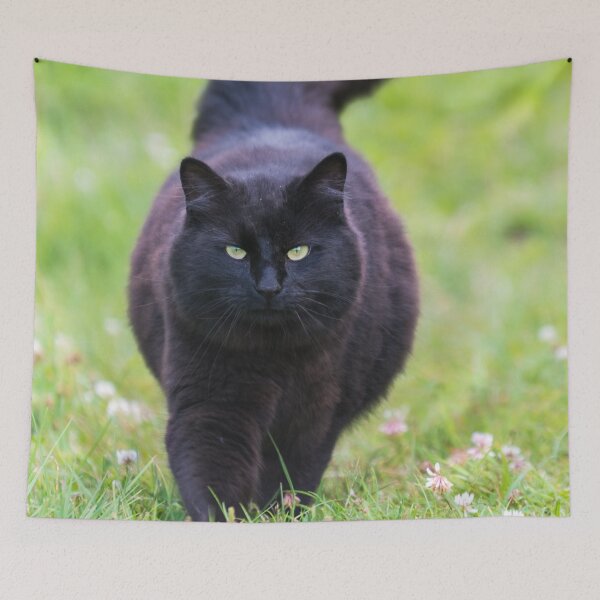 Item preview, Black Cat designed and sold by Lrenz.