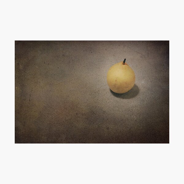 Wall Flower Photographic Print