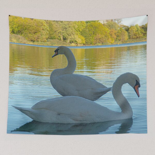 Item preview, River Swans designed and sold by 00Flyer.